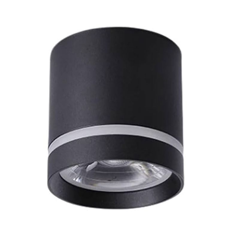צילנדר 12W שחור IG 42 CCT